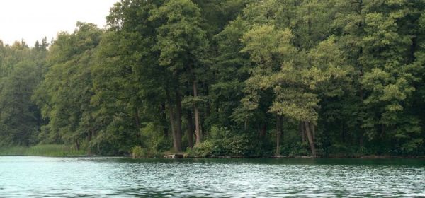 Jezioro tymawskie, cypel po stronie północnej