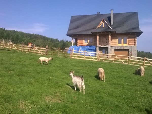 zdjecie Strzebowiska