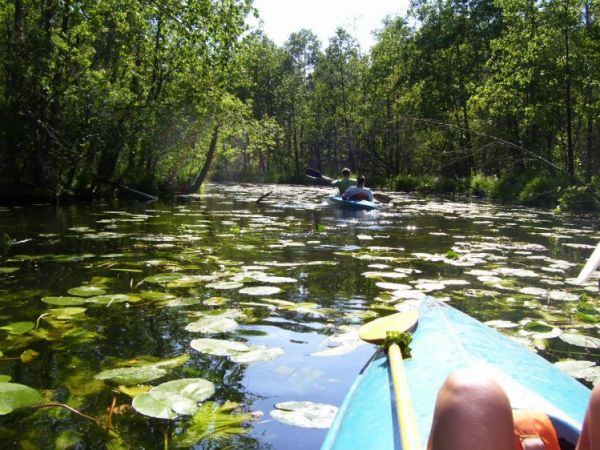 Splywy kajakowe w Studzienicach   www.maxmedia.pl/teresa