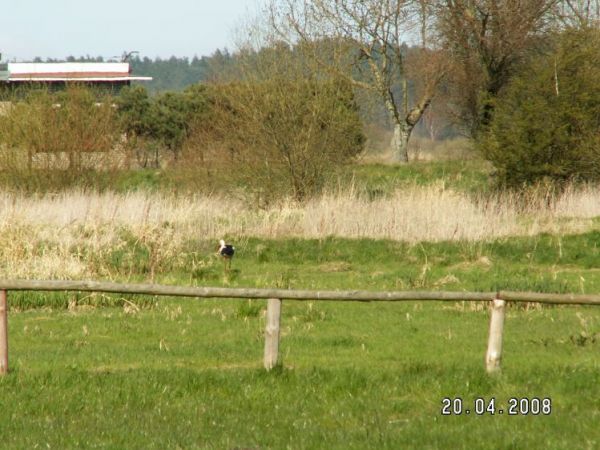 zdjecie Gardna Wielka