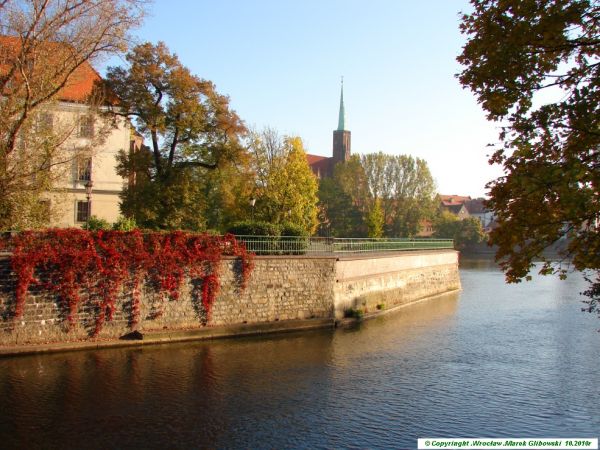 Widok z mostu Piaskowego na Katedrę