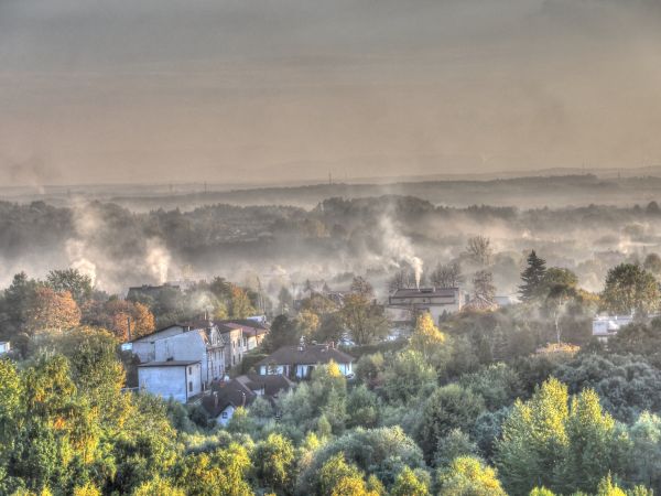 zdjecie Wodzisław Śląski