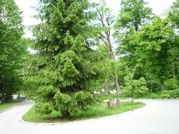 Pałac Leszczyńskich w Krasnobrodzie. Murowany kolumnowy pałac wzniesiony w pierwszej połowie XVII wieku, później przebudowywany. Pałac uległ zniszczeniu w 1914