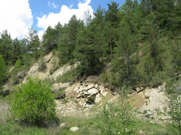 kamieniołom był - miejsce pozyskiwania surowca na budowy ale też na płyty nagrobne, macewy...