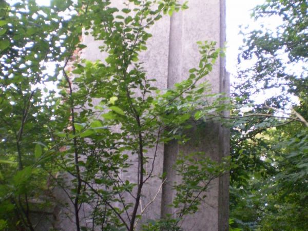 Fragment ściany frontowej