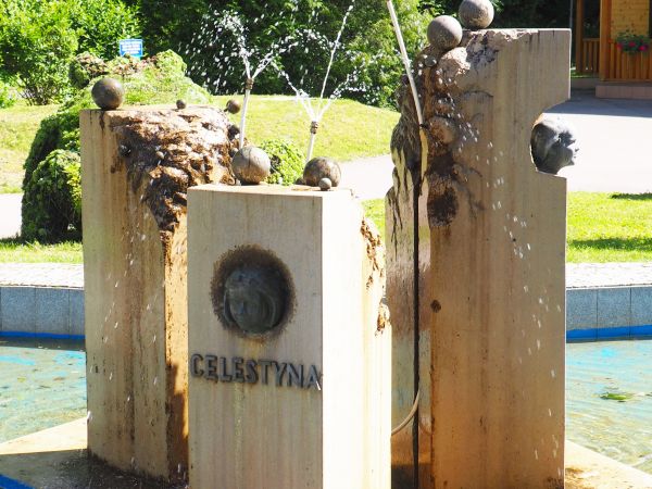 pomnik źródeł : "Klaudia", "Tytus" i "Celestyna" - odkryte w 1876r., pierwszego pełnego rozbioru chemicznego wody ze źródeł mineralnych dokonał w roku 1877 prof