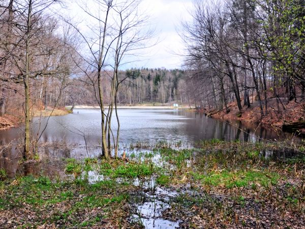 zdjecie Wodzisław Śląski