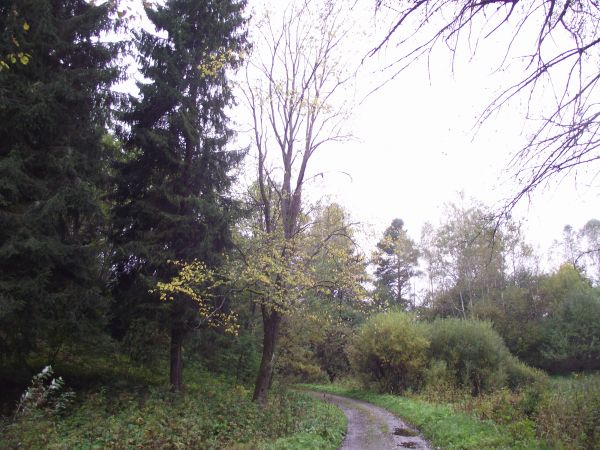 po lewej : matecznik - bezpieczna ostoja zwierzyny w kniei, nie polecam samotnych wypadów rowerowych czy pieszych - tam nie !