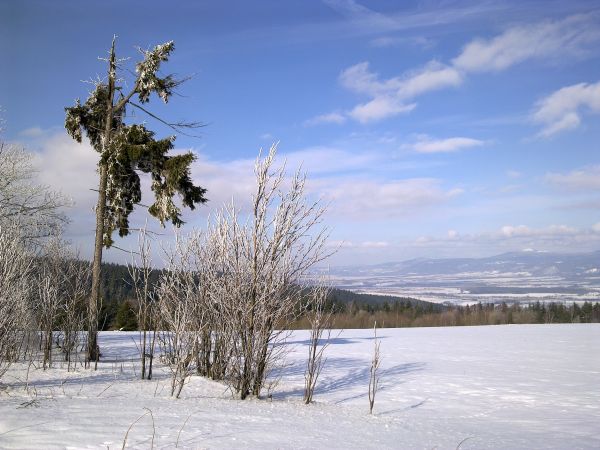 Różanka - żółtym szlakiem na Bochniak (713 m n.p.m.)