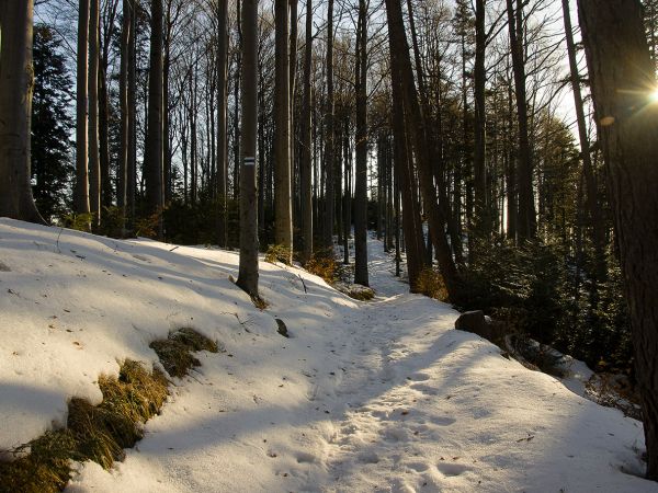 Na niebieskim szlaku-Rytro