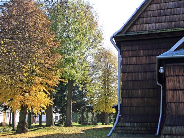 Drewniany kościół pw. śś. Piotra i Pawła w Medyce . Wybudowany w 1607 roku. W 1850 r. gruntownie przebudowany. W 1880 r. zmodyfikowano bryłę kościoła poprzez "