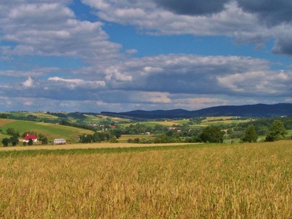 Wojnarowa latem. Fot. Daniel L.