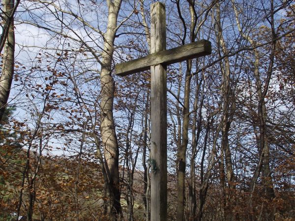 na skraju wsi - w brzegu ściany Lasu Gonszczawa, przy odnodze drogi na  Magierów : krzyż drewniany, wysoki, może wotywny - może tu żegnano poborowych do wojska,