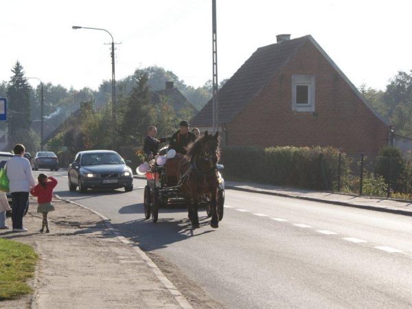Zaprzęg,  Szwecja - październik 2010