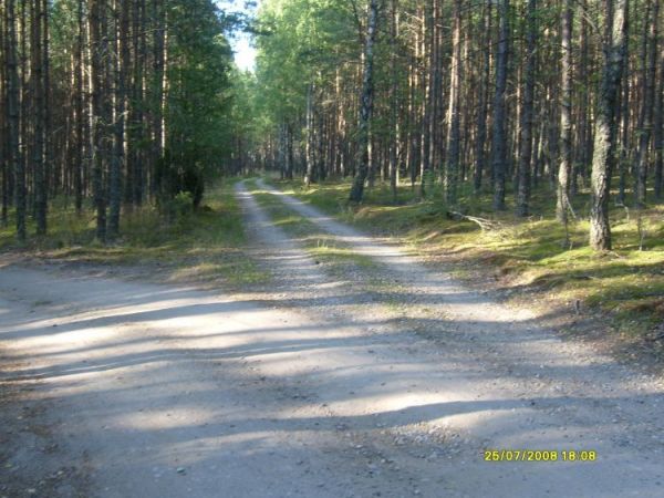 W lewo na pomost, w prawo na Smołdziny