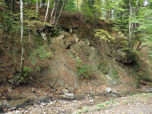 na Szlaku Siedmiu Strumieni : przez Rapiska - Kaliszcze do Zabrodzia.