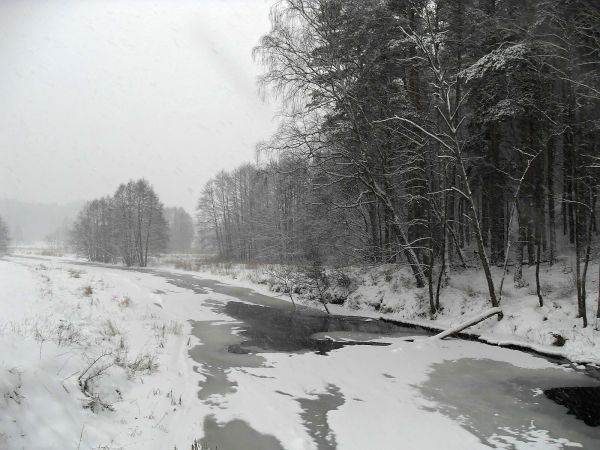 Zamarznięta rzeka Wda w Młyńsku