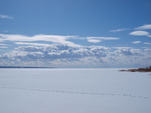 zdjecie Krynica Morska