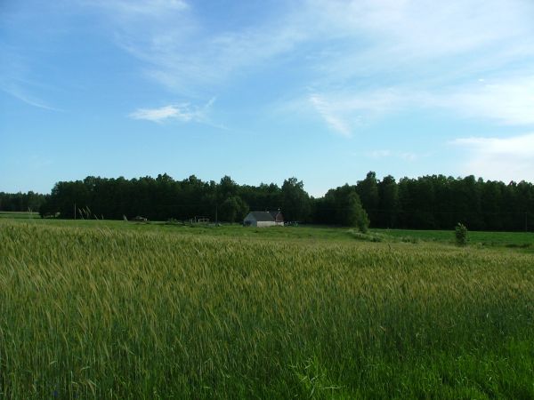 Zdjęcia Kaki-Mroczki