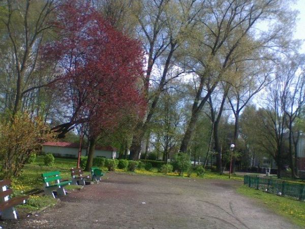 zdjecie Sulechów