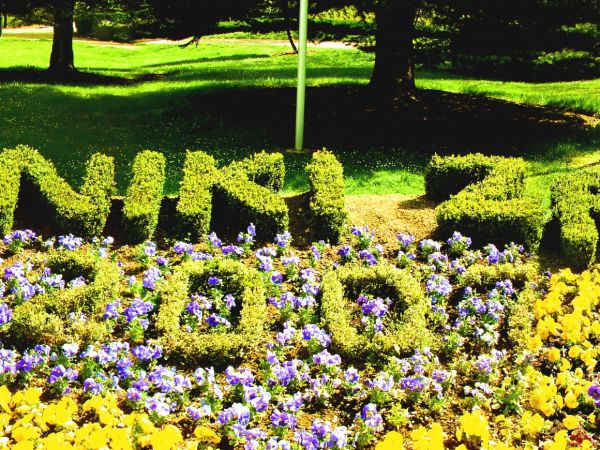 zdjecie Duszniki-Zdrój