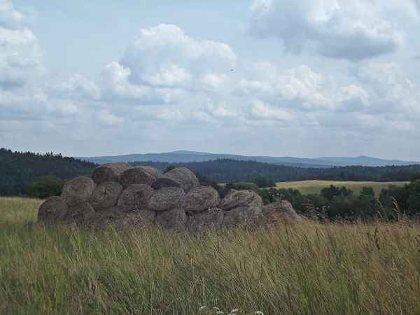 na wierzchowinie - łąki kośne i pastwiska a n/z baloty z sianokiszonką, no i czas na małą dygresję - uwagę : otóż warto zwracać szczególną uwagę, by podczas odp