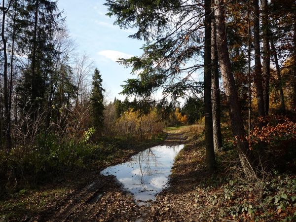 Na Babicę.Szlak czerwony. Dział Wronowski.