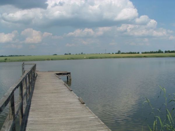 Zalew Brzózki Byczyna