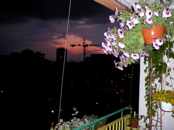 NATOLIN ZACHÓD SŁOŃCA