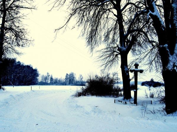 Olszówka/Olszak/ - rozstaje.