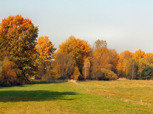 jesień swe uroki ma