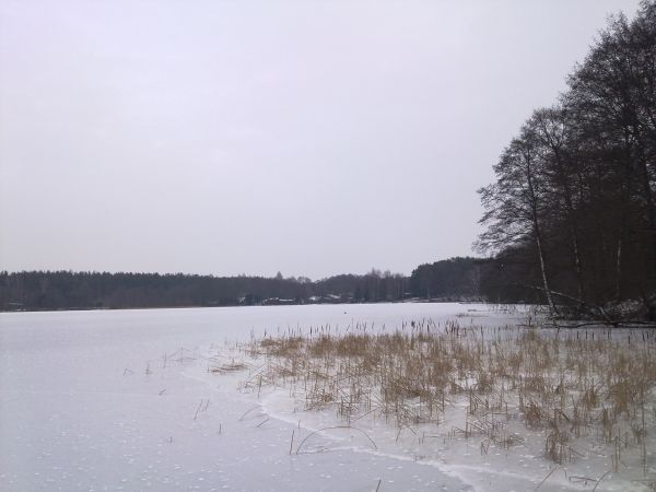 Jezioro Szczekarzewo  w pochmurny lutowy dzień