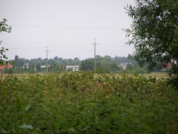 zdjecie Zalesie Górne