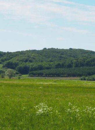 sarna - wśród pastwisk, łąk, pól - też zaświadcza że tereny tu ekologiczne a trawy bujne, soczyste, smaczne, nie pryskane - bez herbicydów i innych takich, w te