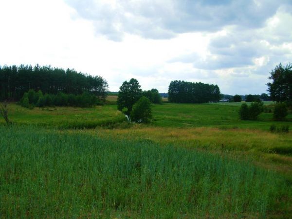 Rzeka "Wda" przepływająca w okolicach Lipusza.
