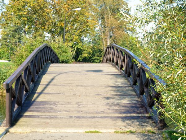 Romantyczny mostek na stawach w Oleśnicy