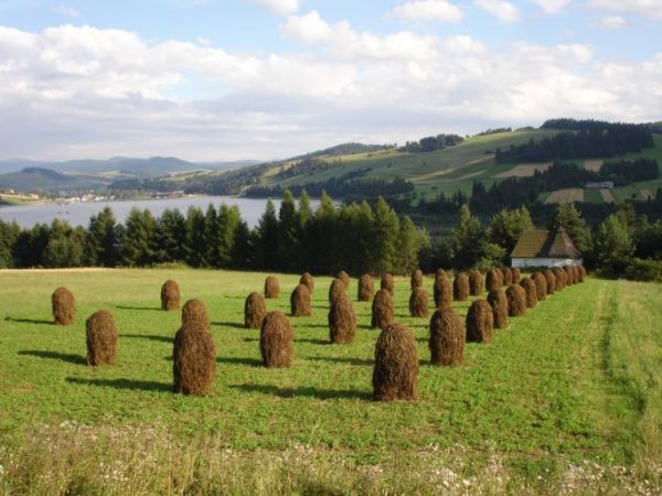 Jezioro Czorsztynskie w Pieninach