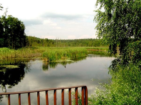 Bachotek. Skarlanka łączy jez. Strażym (na połnocy) i jez. Bacotek do Drwęcy (na południu)