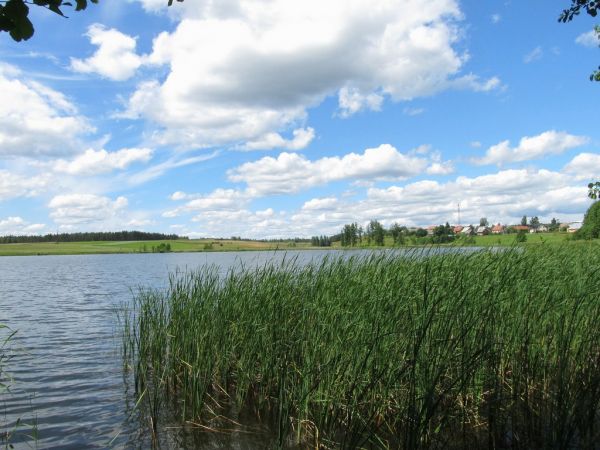 Jezioro Lubiki w Lubikach