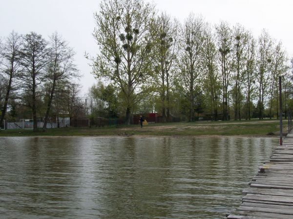 Widok z mola na plażę wczesną wiosną.