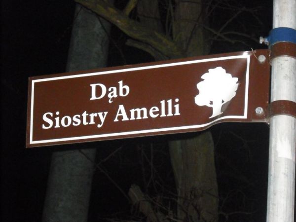 Drogowskaz do pomnika przyrody