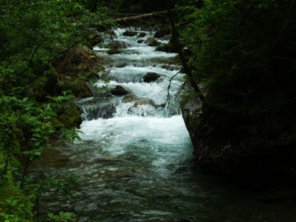 Kościeliski Potok