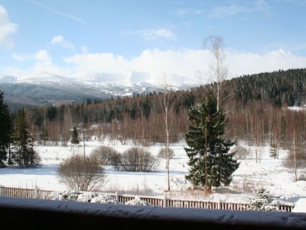 Zima w Michałowicach