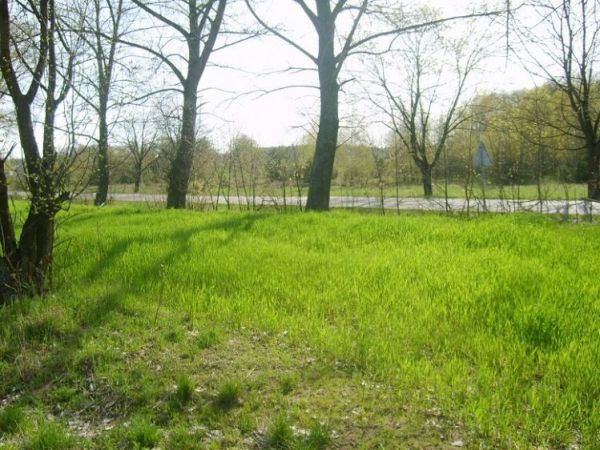 SKRUDA, nasz piękne krajobrazy.