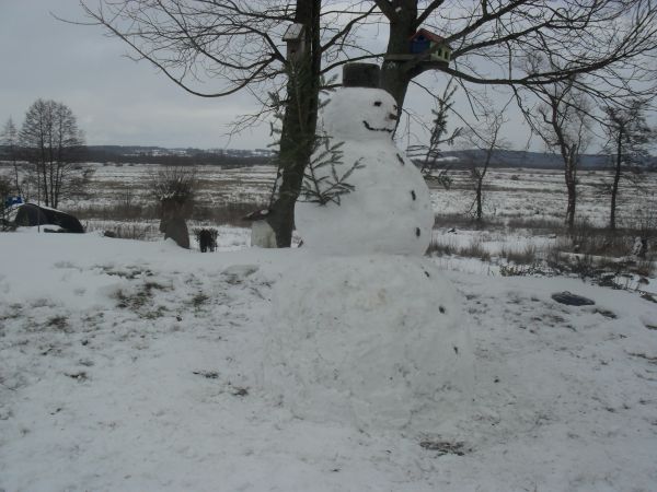 Luty 2012 r. zima w Bartolinie