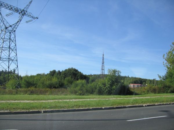 Las, Kumowa Dolina