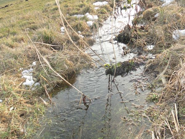 zdjecie Zajączkowice