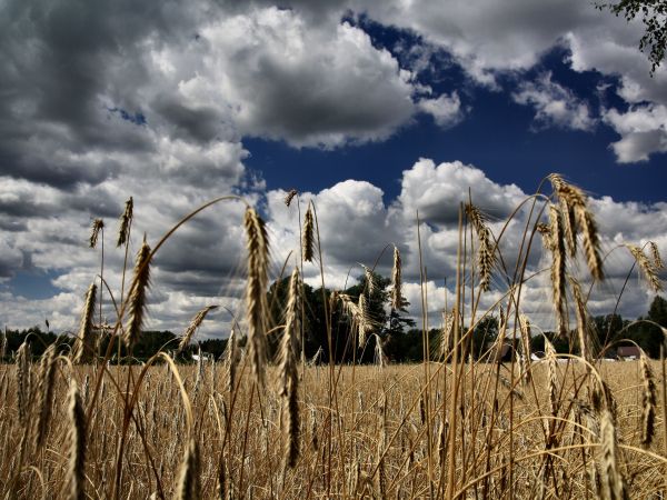 zdjecie Tyniewicze Duże