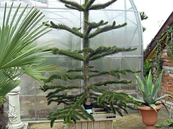 FRANK-RAJ _Ozdobne Ogrody Polskie