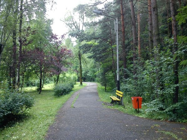 Sosnowiec-Kazimierz Górniczy. Park Leśna.